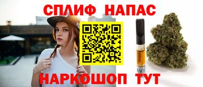 СК Краснознаменск