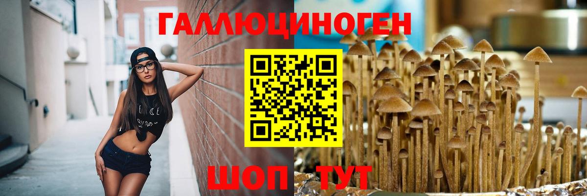 Галлюциногенные грибы мухоморы Конаково